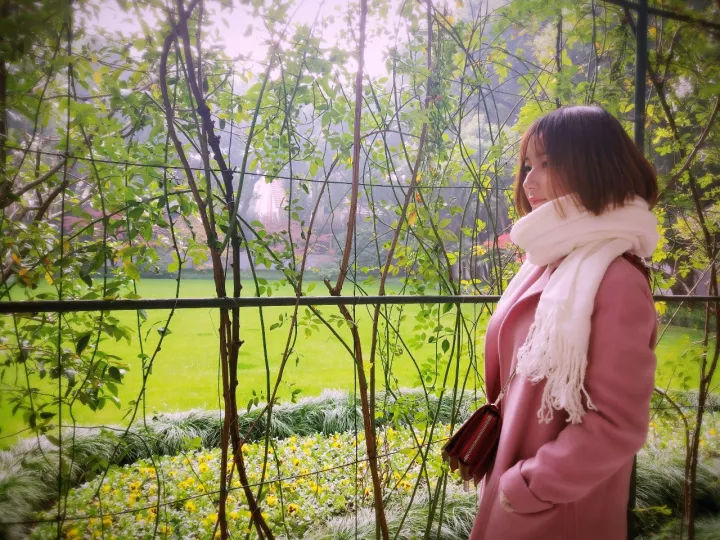 2020年城市全能景觀、綠化用樹「西府海棠」