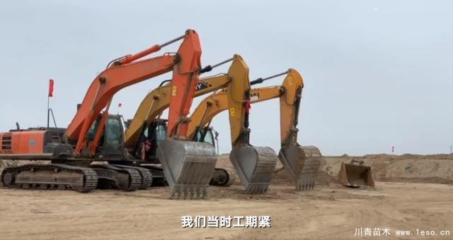 30畝苗木一夜被毀，村民欲哭無淚，施工方：領導要觀摩加班推錯了