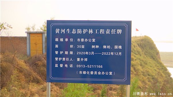 1603272403446105.jpg 秋冬季花卉苗木的管護補植工作,黃河生態防護林責任片區