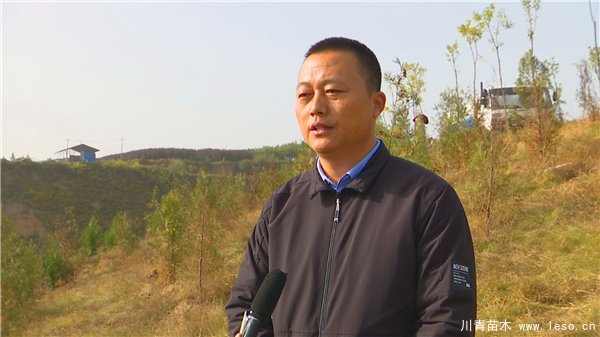 1603272383146363.jpg 秋冬季花卉苗木的管護補植工作,黃河生態防護林責任片區