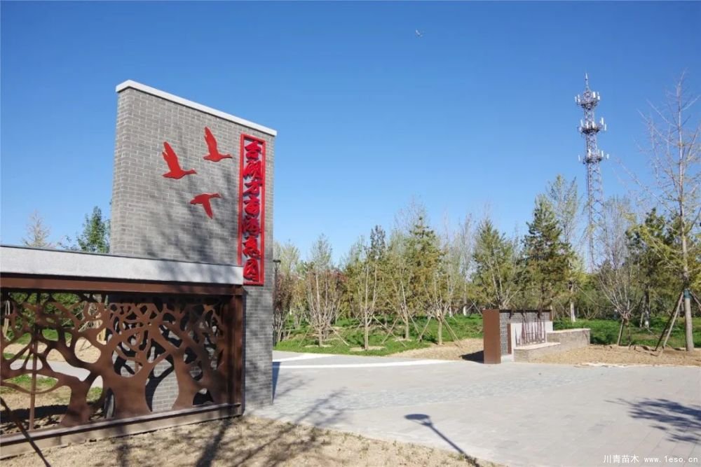 通州南部這處灌木森林公園規模約26000畝即將迎客！