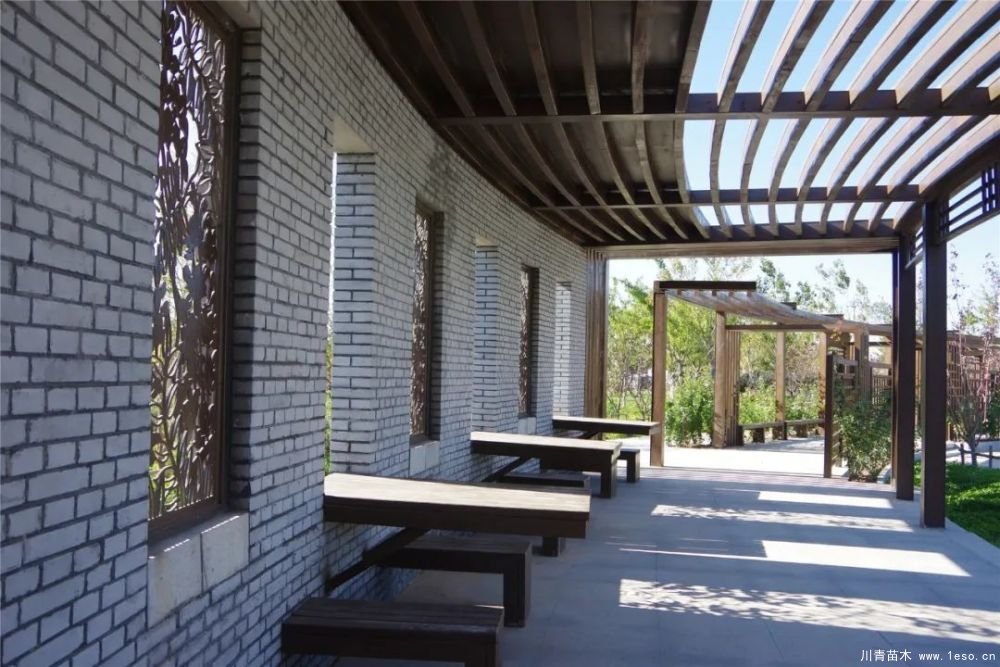 通州南部這處灌木森林公園規模約26000畝即將迎客！