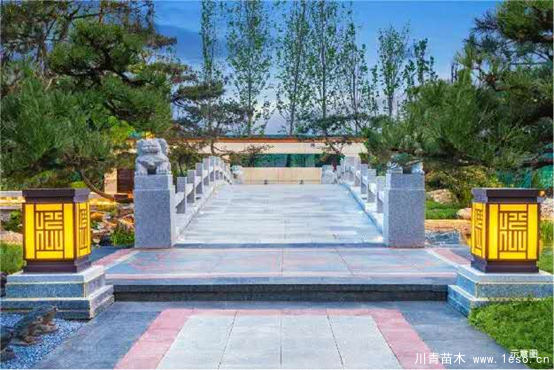 雙軌交匯，3站直達朝陽，均價2字頭的墅質洋房你愛不愛？