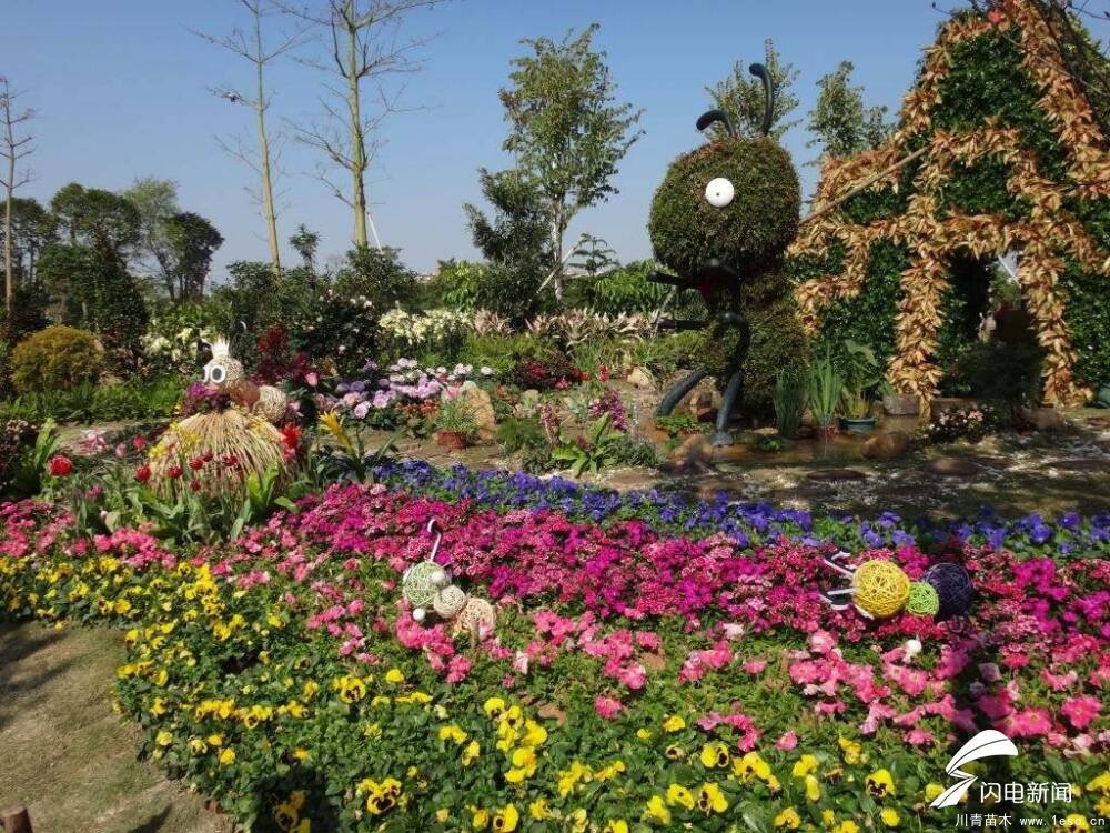 淄博一男子多次偷拿路邊花卉被拘,路邊的鮮花你不要“采”