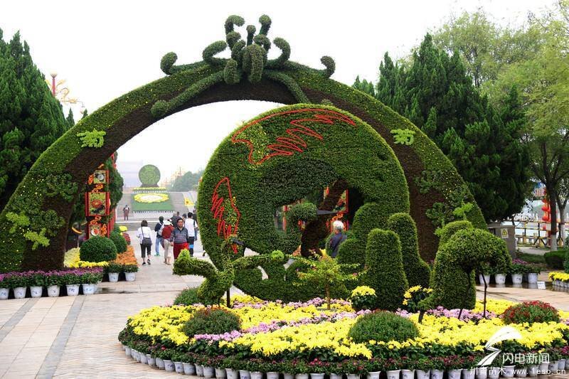 淄博一男子多次偷拿路邊花卉被拘,路邊的鮮花你不要“采”