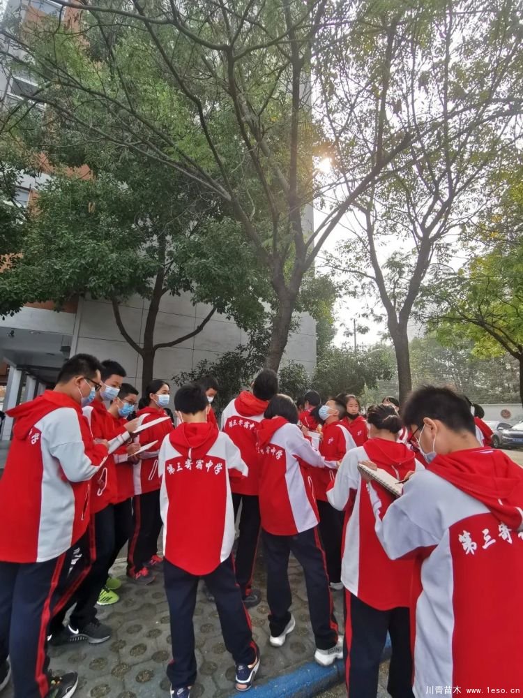 武漢導師帶領初中生探究喬木的奧秘,生動的上了一課