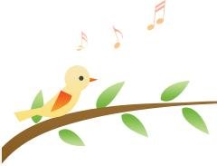 溫江路邊長出“盆景”!區城市園林綠化苗木:兼顧安全與采光