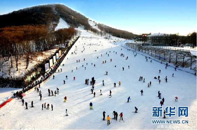 波泥河苗木特色小鎮 長春九臺一花一樹