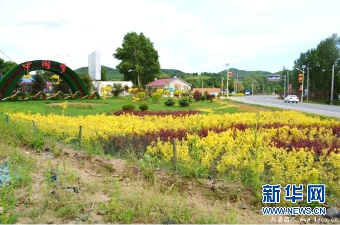 波泥河苗木特色小鎮 長春九臺一花一樹