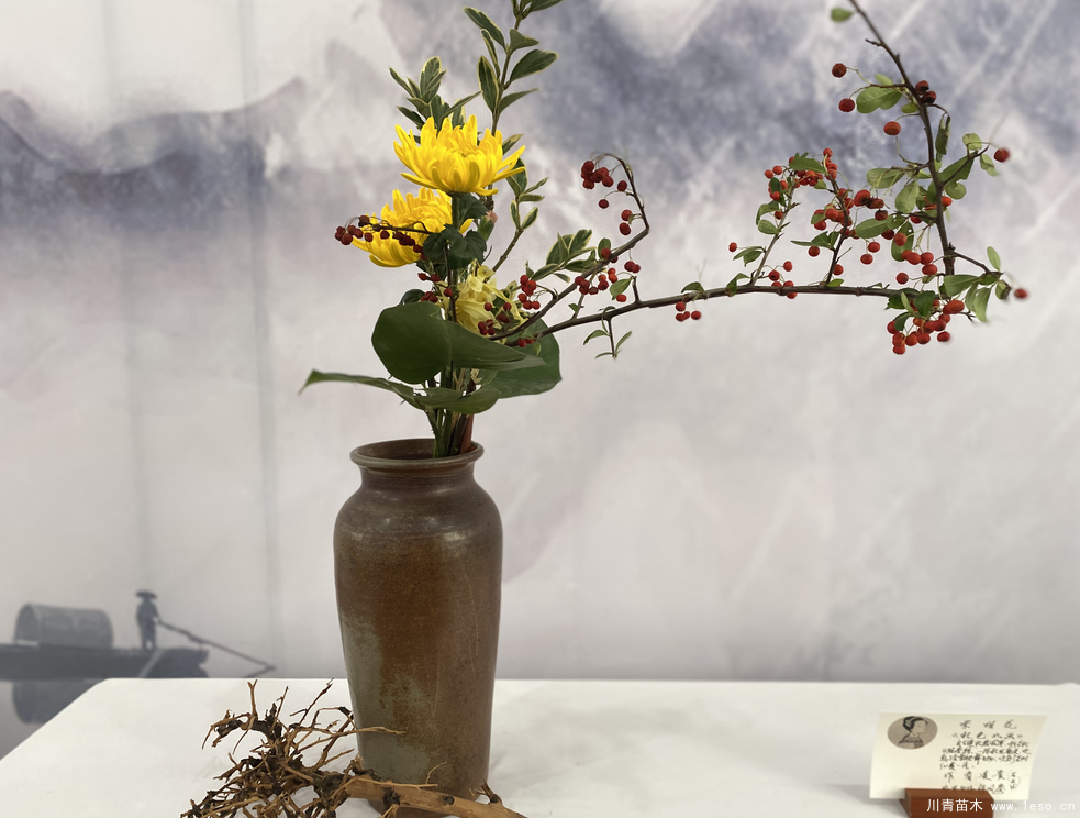 第二屆成都國(guó)際花木博覽會(huì)在溫江區(qū)鎮(zhèn)子鄉(xiāng)盛大啟幕