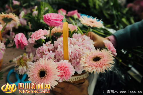 賞千姿百態 享美好周末 第二屆成都國際花博會在溫江開幕