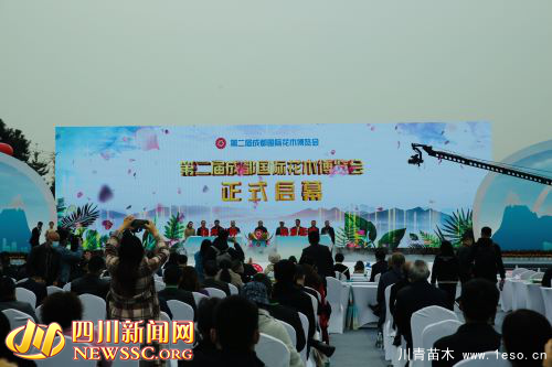 賞千姿百態 享美好周末 第二屆成都國際花博會在溫江開幕