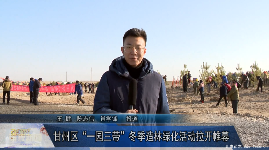甘州區“一園三帶”冬季造林綠化苗木活動拉開帷幕