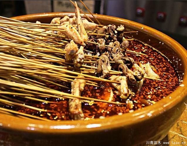 距成都1h!10余公里溫玉路梧桐大道迎最美春夏秋冬!