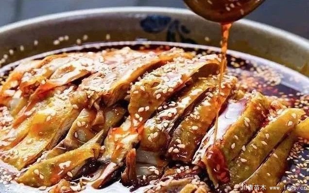 距成都1h!10余公里溫玉路梧桐大道迎最美春夏秋冬!