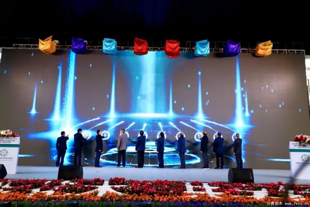 第十八屆中國金華花卉苗木交易會(huì)三大亮點(diǎn),帶你上“云”