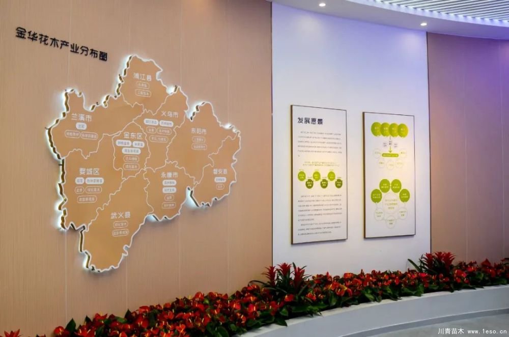 第十八屆中國金華花卉苗木交易會(huì)三大亮點(diǎn),帶你上“云”