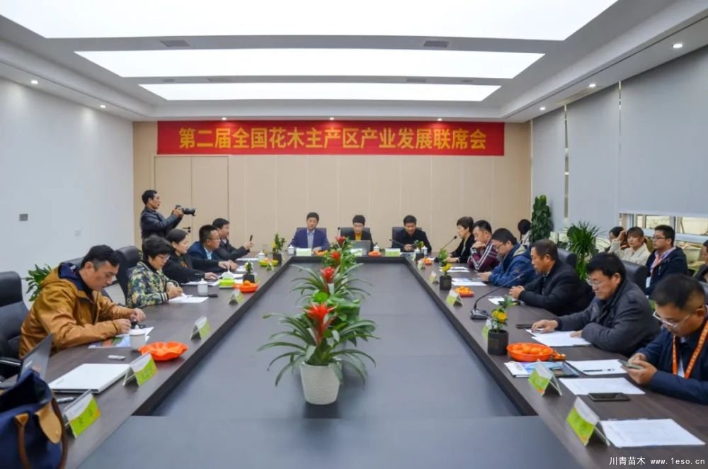 第十八屆中國金華花卉苗木交易會(huì)三大亮點(diǎn),帶你上“云”