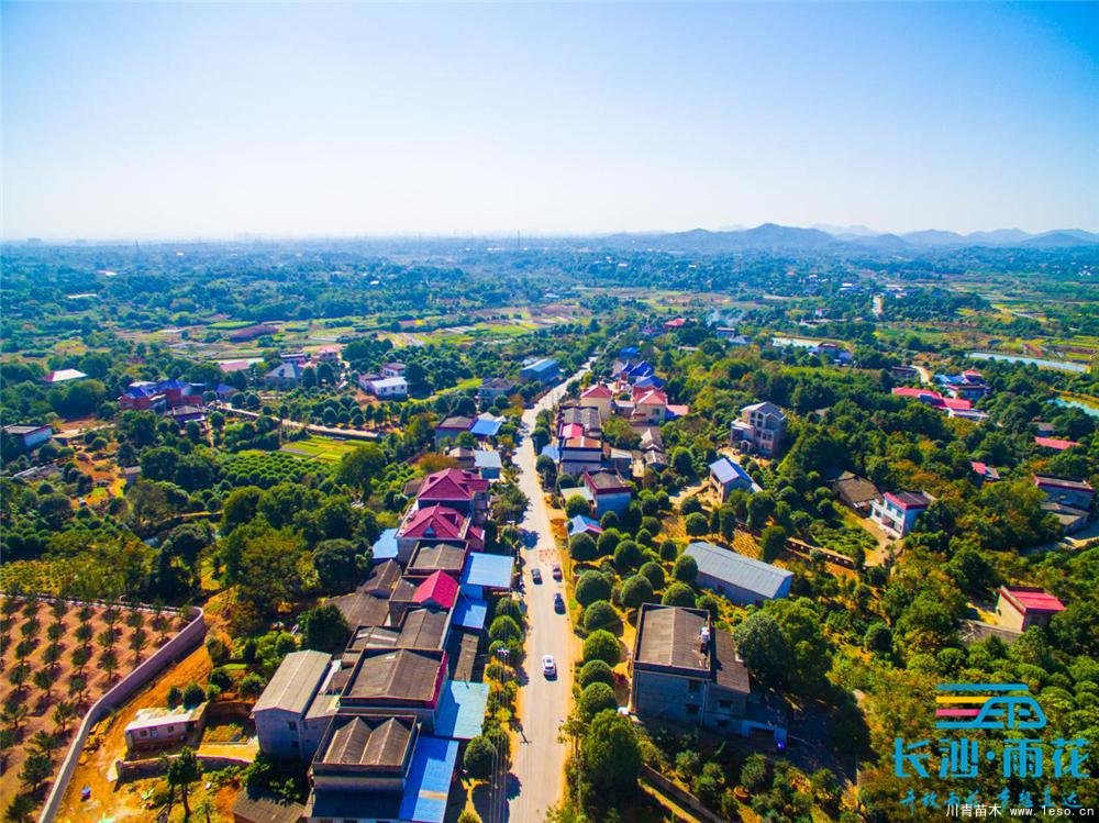 小小苗木開出“脫貧致富花”“一村一品”跳馬鎮(zhèn)豐收