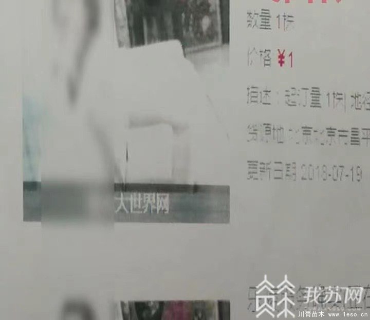 “花木大世界網(wǎng)”變招嫖網(wǎng)站，幕后“黑客”竟是一對夫妻