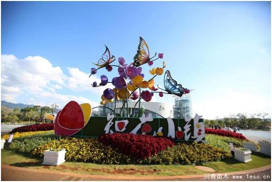 云南花卉世界合作之窗 打造特色花卉苗木產業集群
