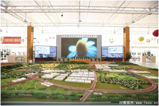 云南花卉世界合作之窗 打造特色花卉苗木產業集群