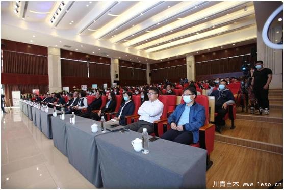 云南花卉世界合作之窗 打造特色花卉苗木產業集群