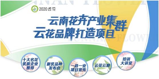 云南花卉世界合作之窗 打造特色花卉苗木產業集群