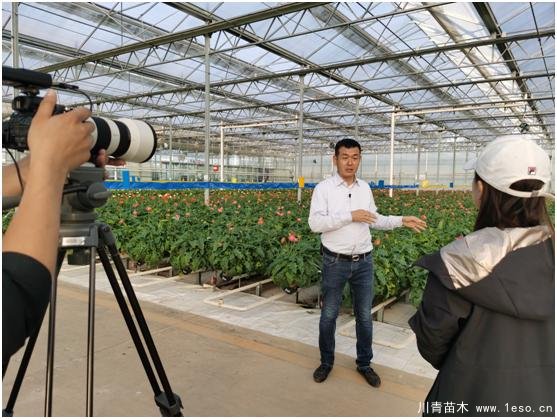 云南花卉世界合作之窗 打造特色花卉苗木產業集群