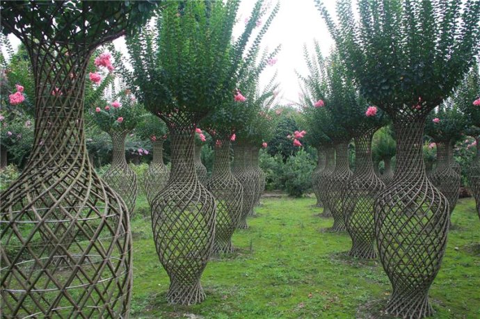 紫薇花瓶骨架尺寸圖紙