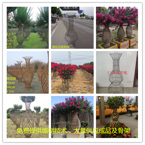 紫薇花瓶骨架尺寸圖紙